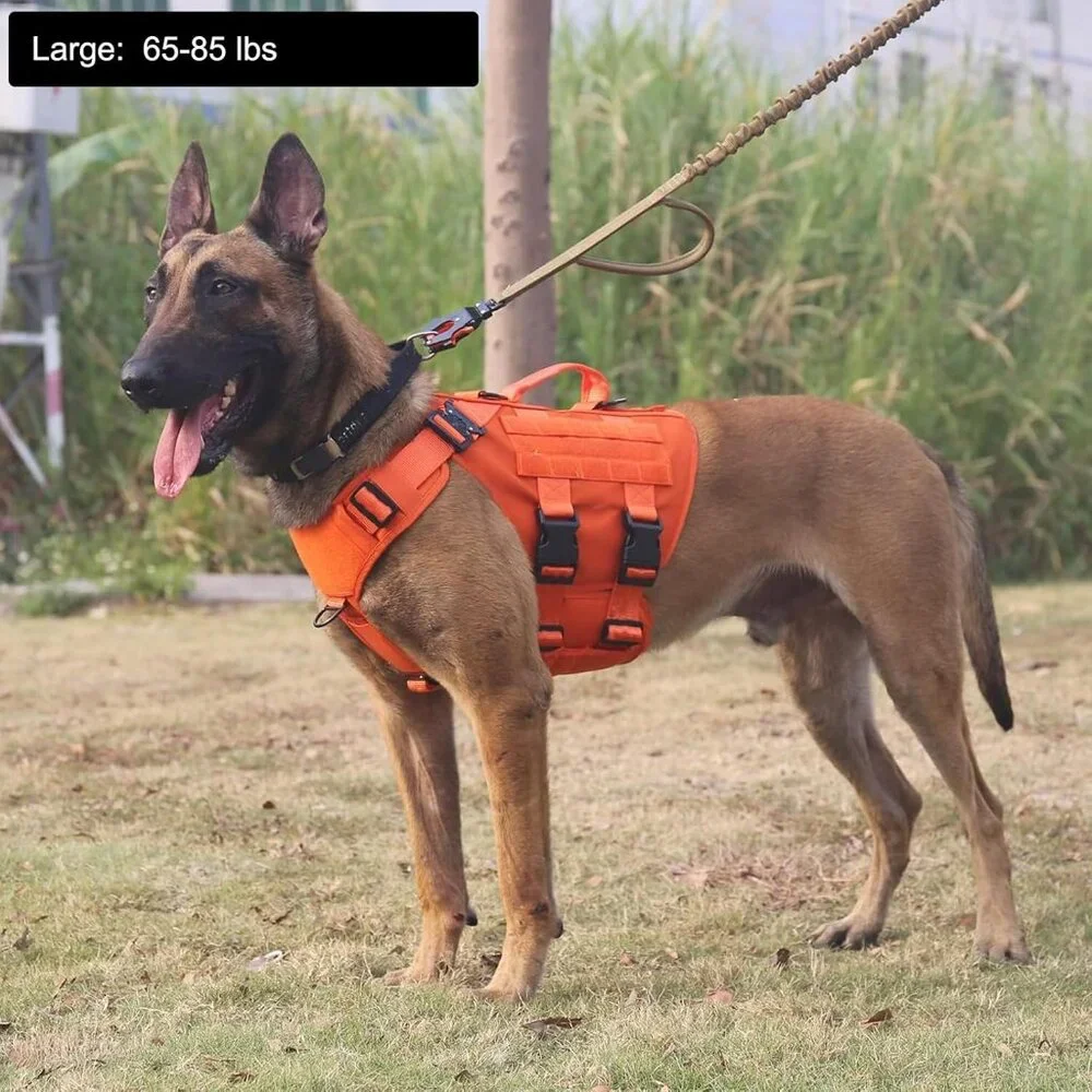 NWT - ICEFANG GN3 Tactical Dog Harness with 6X Buckle, Do Molle Vest with Handle